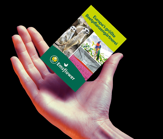 flyersystem-hand DER BUTLER Werbung und Medien in Meppen